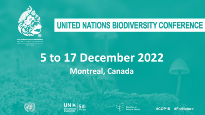 En ce moment, la COP 15, sommet sur la biodiversité à lieu à Montréal.