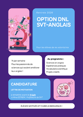 Option DNL Anglais-SVT 4e 2026.png